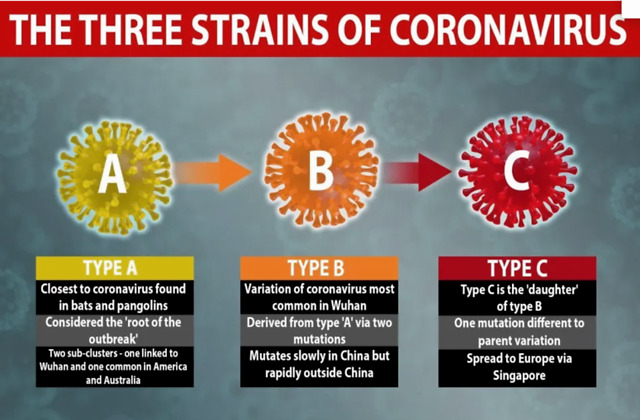 Where does the new coronavirus come from? 