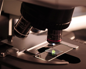 Detection of new coronavirus in non drinking tap water in Paris