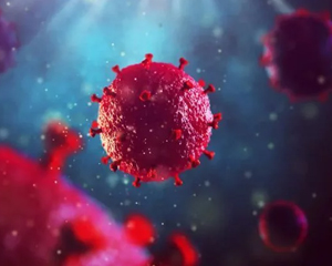 The Chinese University Research Institute found that the novel coronavirus can exist for a long time