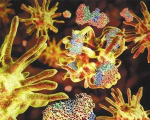 What you should know about viruses